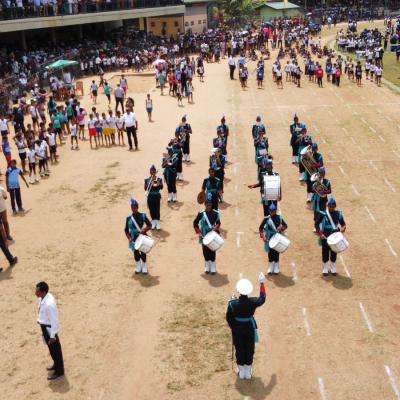 D3b088c4 47ed 48fd B554 F125951c74c1